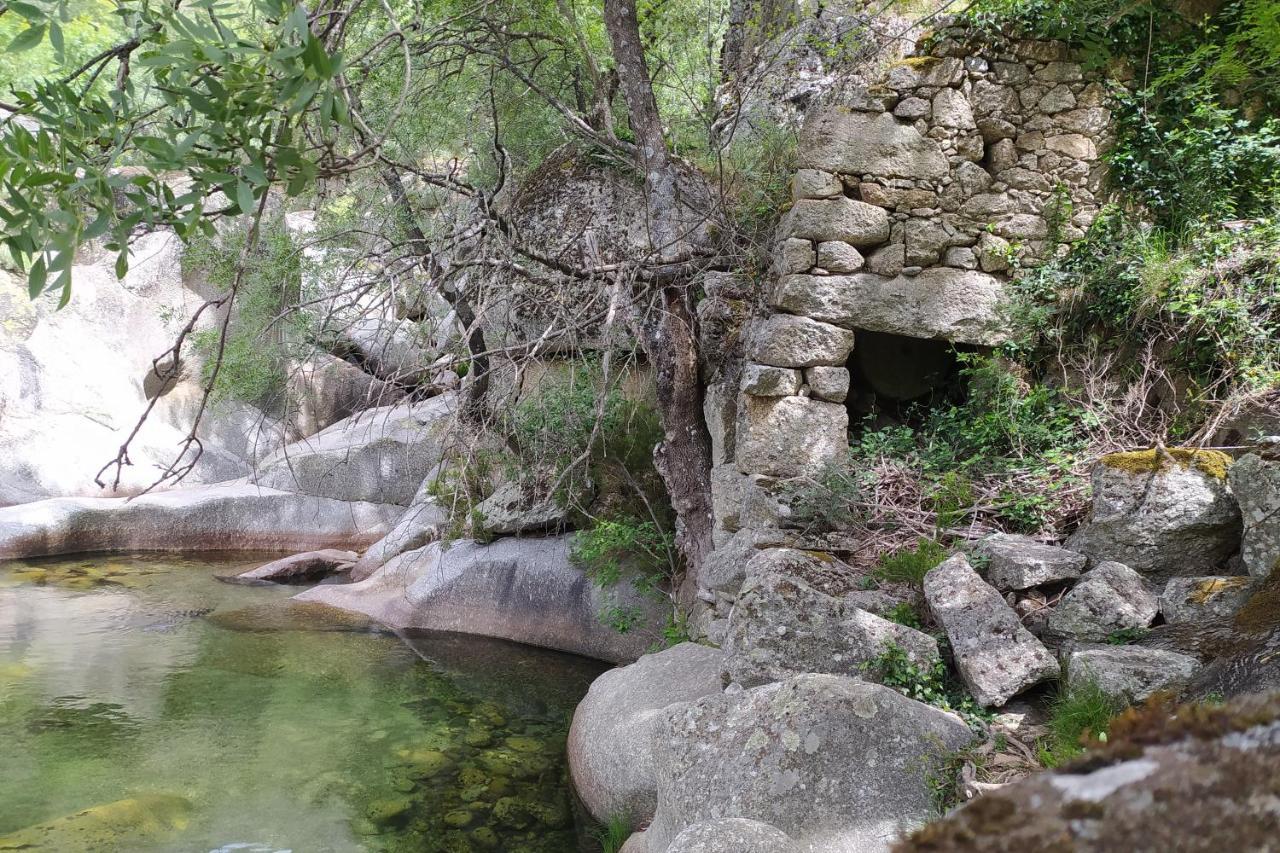 Abrigo Do Cabecinho - Serra Da Estrela Cortes do Meio Zewnętrze zdjęcie