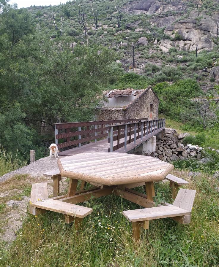 Abrigo Do Cabecinho - Serra Da Estrela Cortes do Meio Zewnętrze zdjęcie